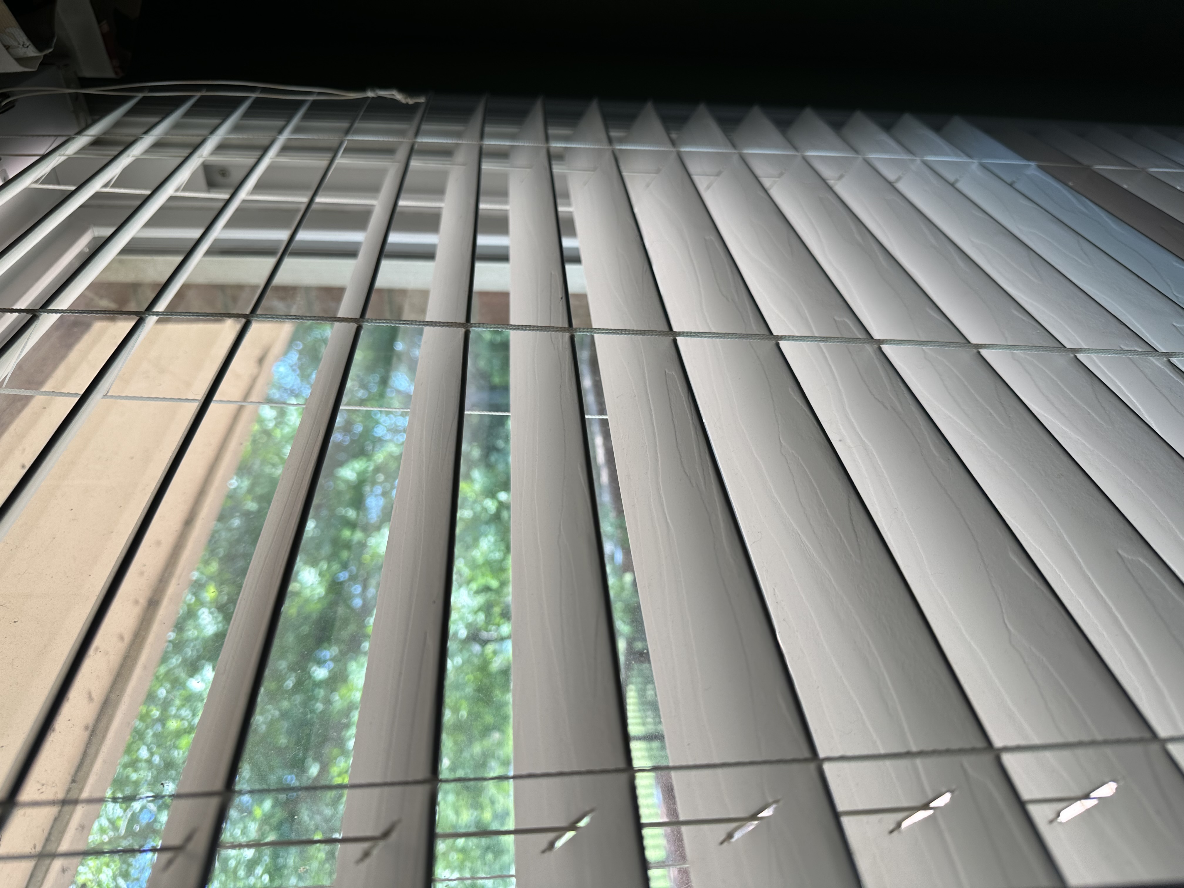 Window Cleaning photo 3